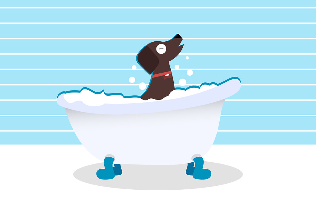 Bath & Brush